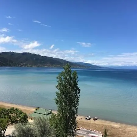 Mollys 1 * Pogradec