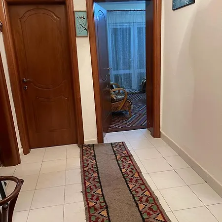 Mollys 1 Pogradaş